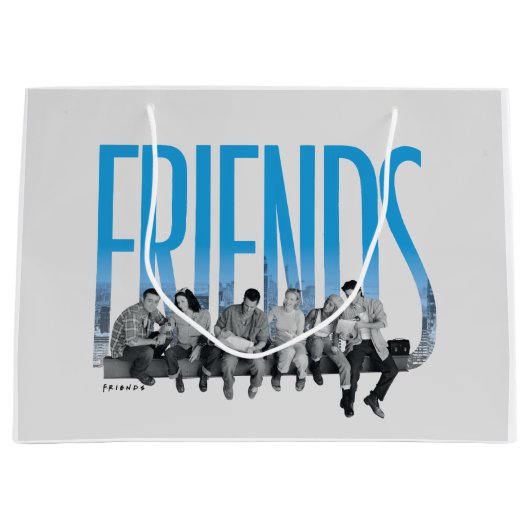 FRIENDS™ | De bende Groot Cadeauzakje