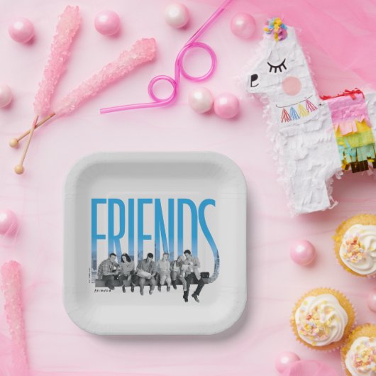 FRIENDS™ | De bende Papieren Bordje (Feest)