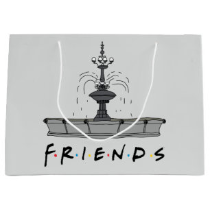 FRIENDS™ fontein Groot Cadeauzakje
