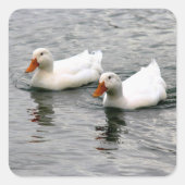 Friends For Life Vierkante Sticker (Voorkant)