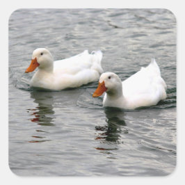 Friends For Life Vierkante Sticker