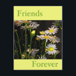 Friends Forever Briefkaart<br><div class="desc">Laat de persoon die er altijd voor je is weten dat je aan hem denkt. Je kunt elke vriendendag opfleuren met deze vrolijke kaart</div>