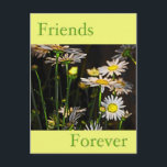 Friends Forever Briefkaart<br><div class="desc">Laat de persoon die er altijd voor je is weten dat je aan hem denkt. Je kunt elke vriendendag opfleuren met deze vrolijke kaart</div>