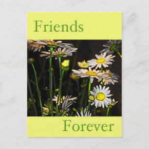 Friends Forever Briefkaart