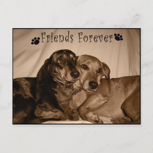 Friends Forever Briefkaart (Voorkant)
