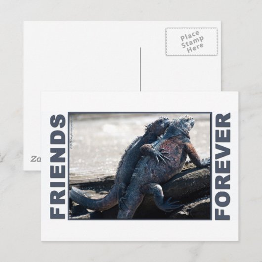 Friends Forever Briefkaart (Voorkant / Achterkant)