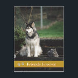 Friends Forever - briefkaart voor honden en katten<br><div class="desc">Je kunt bijna al mijn design aanpassen zodat je plezier hebt!</div>