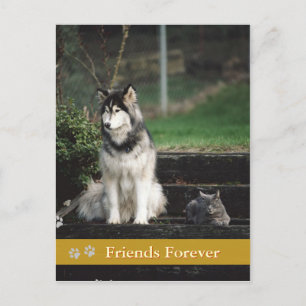Friends Forever - briefkaart voor honden en katten