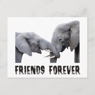 Friends Forever Elephants knuffelen/kussen Briefkaart