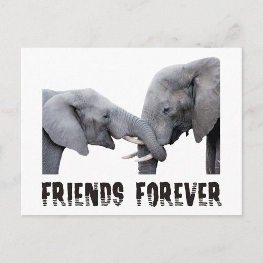 Friends Forever Elephants knuffelen/kussen Briefkaart (Voorkant)