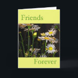 Friends Forever Kaart<br><div class="desc">Heb je iemand die je altijd vrienden bent geweest,  en die altijd zal zijn? Laat ze weten dat je aan hen denkt met deze leuke en gelukkige kaart. Het bevat een hoop maisieën en is een symbool van vriendschap en lente</div>