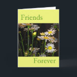 Friends Forever Kaart<br><div class="desc">Heb je iemand die je altijd vrienden bent geweest, en die altijd zal zijn? Laat ze weten dat je aan hen denkt met deze leuke en gelukkige kaart. Het bevat een hoop maisieën en is een symbool van vriendschap en lente</div>