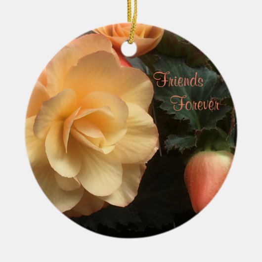 Friends Forever Keramisch Ornament (Voorkant)