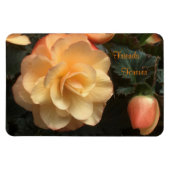 Friends Forever Magneet (Horizontaal)