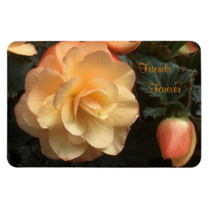 Friends Forever Magneet