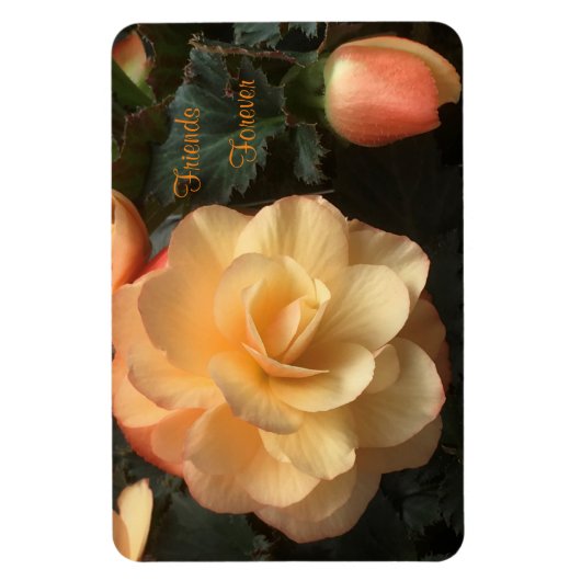 Friends Forever Magneet (Verticaal)