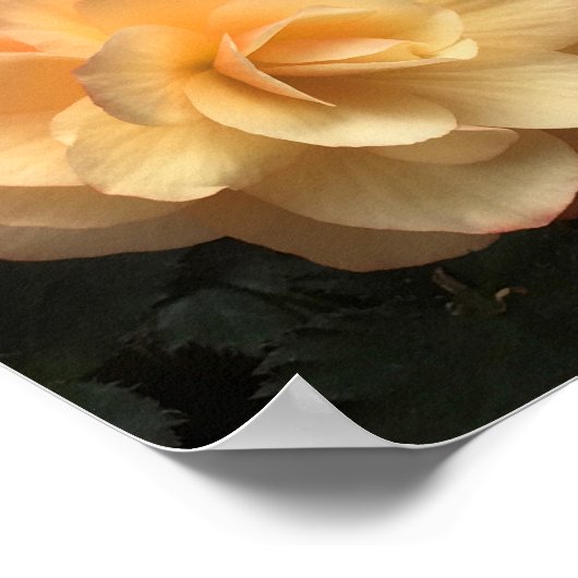 Friends Forever Poster (Hoek)