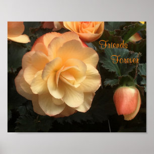 Friends Forever Poster