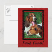 Friends Furever [Forever] Briefkaart (Voorkant / Achterkant)