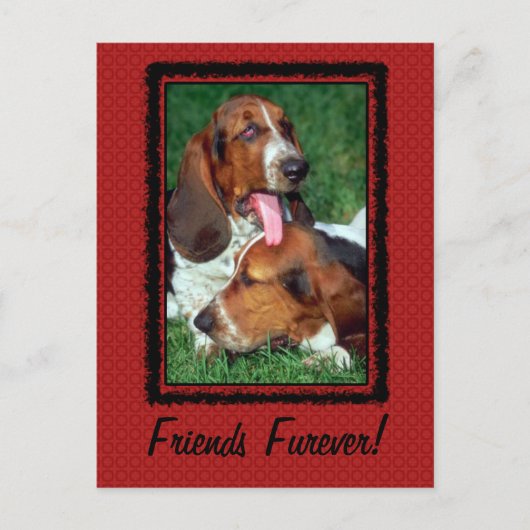 Friends Furever [Forever] Briefkaart (Voorkant)
