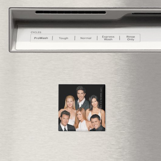 FRIENDS™ | Gegoten in formeel Draag kleding Magneet (Insitu (Vaatwasser))