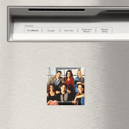 FRIENDS™ | Gegoten in het appartement van Monica Magneet (Insitu (Vaatwasser))