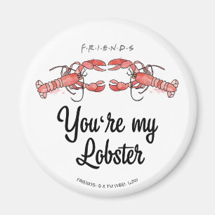 FRIENDS™ Je bent mijn Lobster Waterverf Quote Magneet