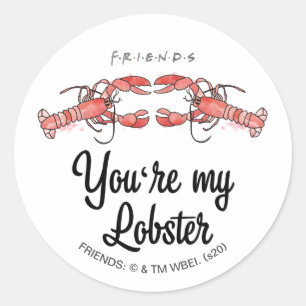 FRIENDS™ Je bent mijn Lobster Waterverf Quote Ronde Sticker
