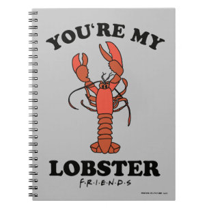 FRIENDS™ Jij bent mijn Lobster Notitieboek