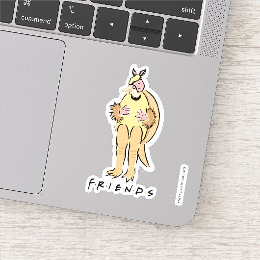 FRIENDS™ | Kerst Armadillo Sticker (Detail)