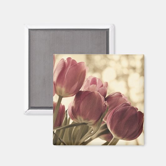 Friends Magnet (Voorkant / Achterkant)