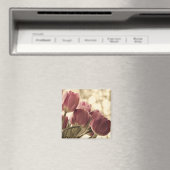 Friends Magnet (Insitu (Vaatwasser))