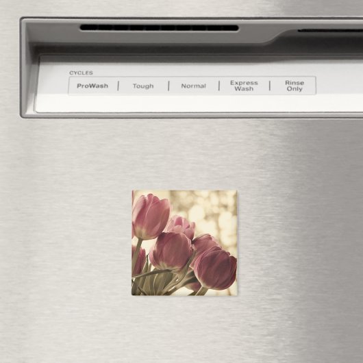 Friends Magnet (Insitu (Vaatwasser))