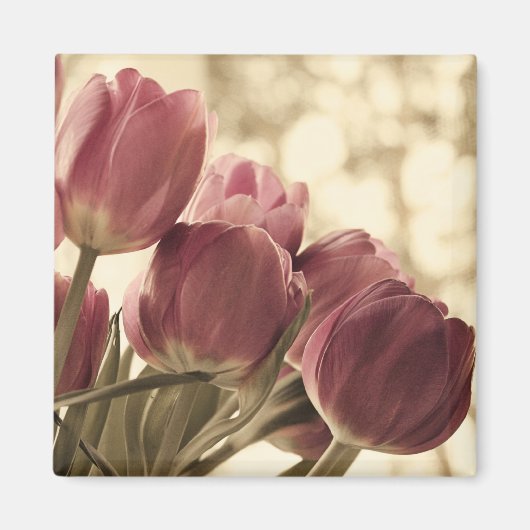 Friends Magnet (Voorkant)