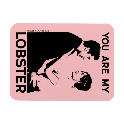 FRIENDS™ | Ross & Rachel - Jij bent mijn moeder Magneet (Horizontaal)