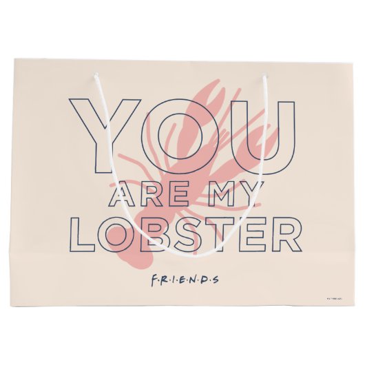 FRIENDS™ | U bent mijn lobster Groot Cadeauzakje (Achterkant)