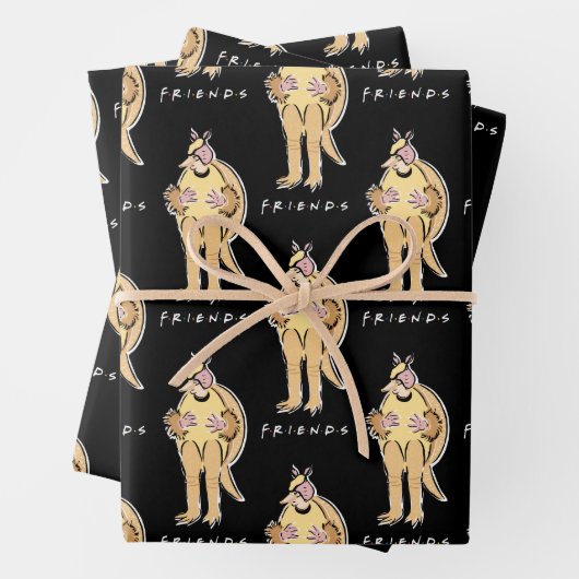 FRIENDS™ | Vakantie Armadillo Inpakpapier Vel (In situ)