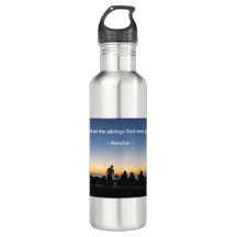 Friends with Sunset Water Bottle 