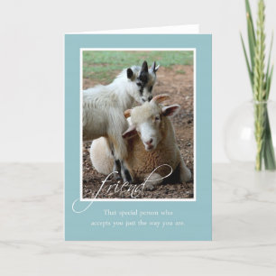 Friendship Blank Note Card met schapen en geiten Kaart