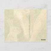 Friendship Bunny & Foal briefkaart (Achterkant)