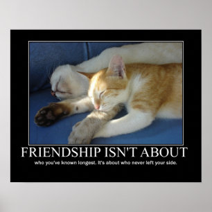 Friendship Cats Love Artwork Inspirerend Poster