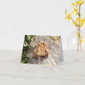 Friendship Frog Toad wenskaart Kaart (Gele Bloem)
