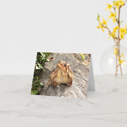 Friendship Frog Toad wenskaart Kaart (Gele Bloem)