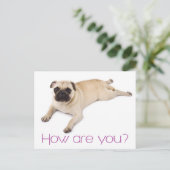 Friendship Hallo Pug Puppy Dog Greeting Briefkaart (Staand voorkant)
