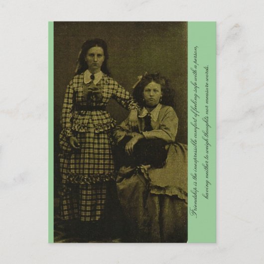 Friendship is het ongelofelijke comfort. briefkaart (Voorkant)