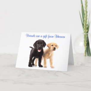 Friendship Labrador Retriever Puppies Kaart