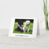 Friendship Labrador Retriever Puppies Kaart (Achterkant)