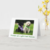 Friendship Labrador Retriever Puppies Kaart (Gele Bloem)