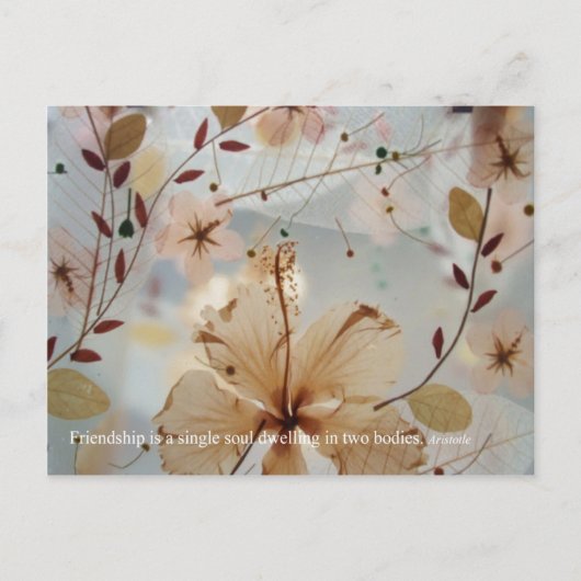Friendship Petal Briefkaart (Voorkant)
