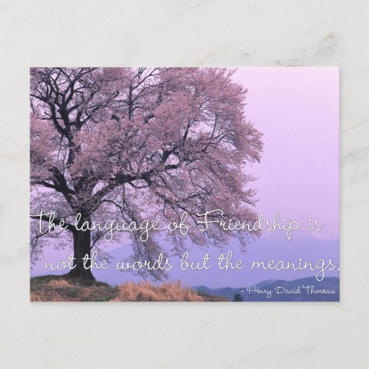 Friendship Quote 1 - Cherry Blossom Tree Briefkaar Briefkaart (Voorkant)